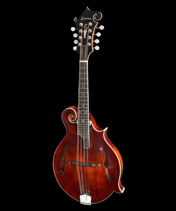 Eastman MD815V