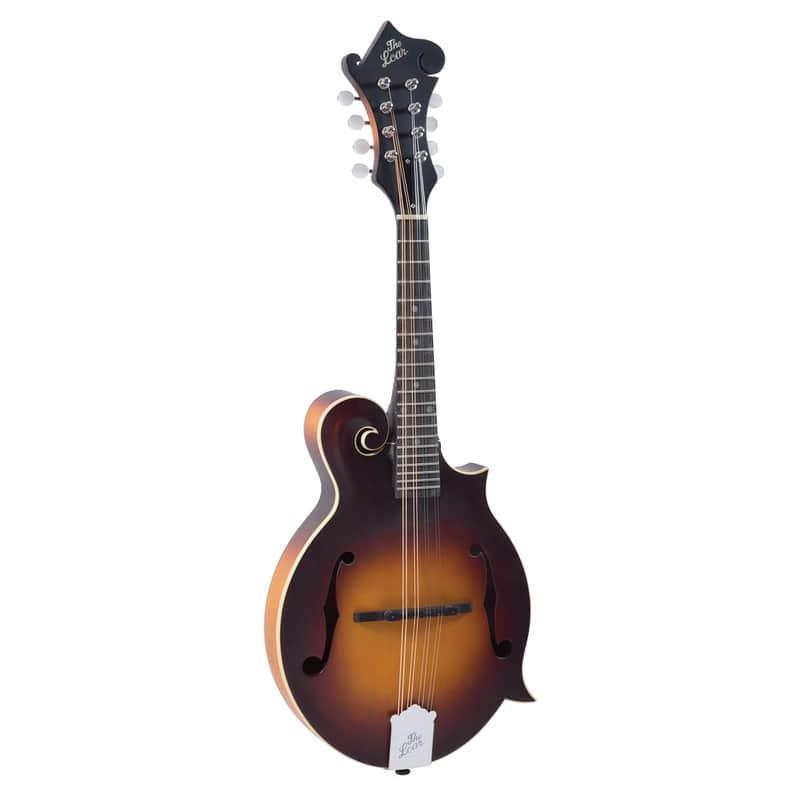 The Loar LM-590