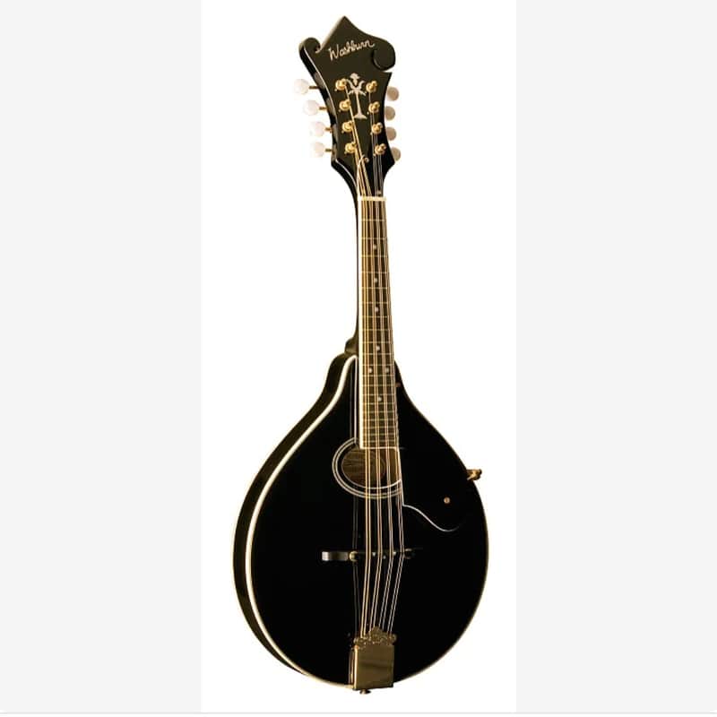 Washburn M1SDLB