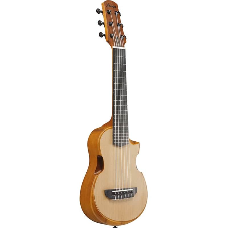 Ibanez AUP10N