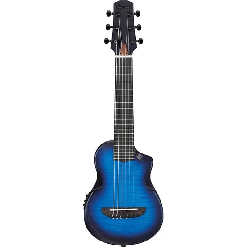 Ibanez AUP10FMNE