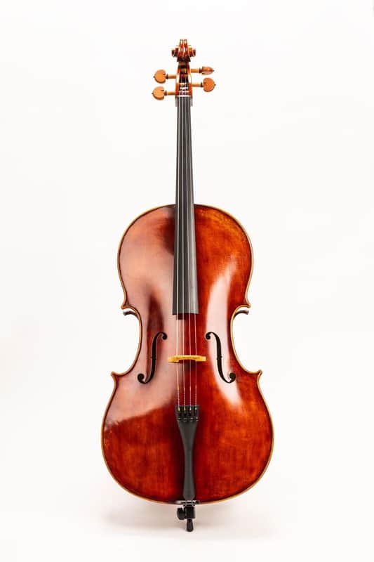 D Z Strad Cello Model 300