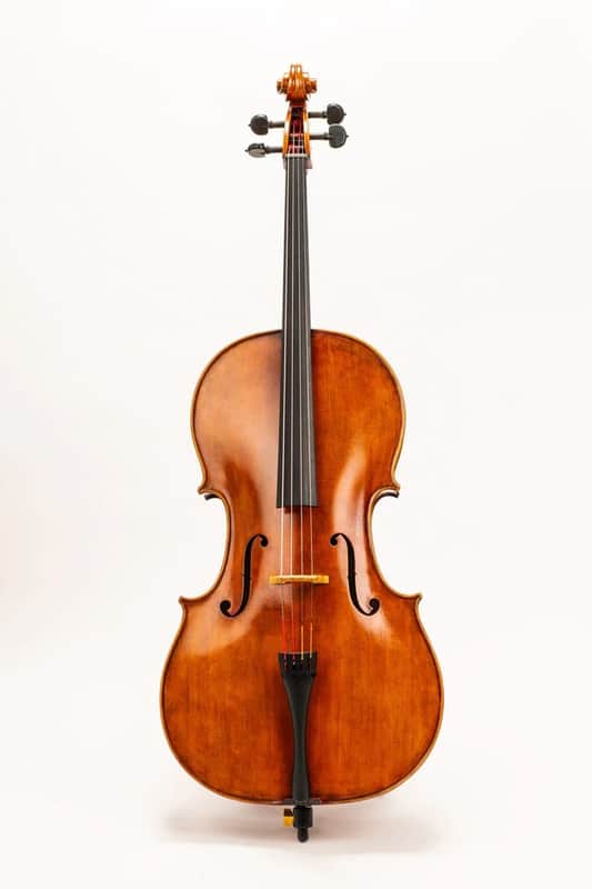 D Z Strad Cello Model 600