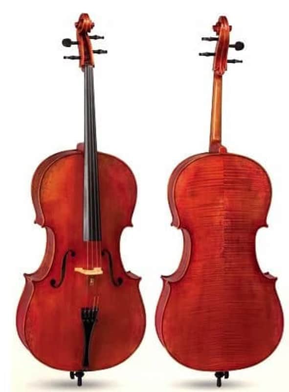 D Z Strad Cello Model 1100
