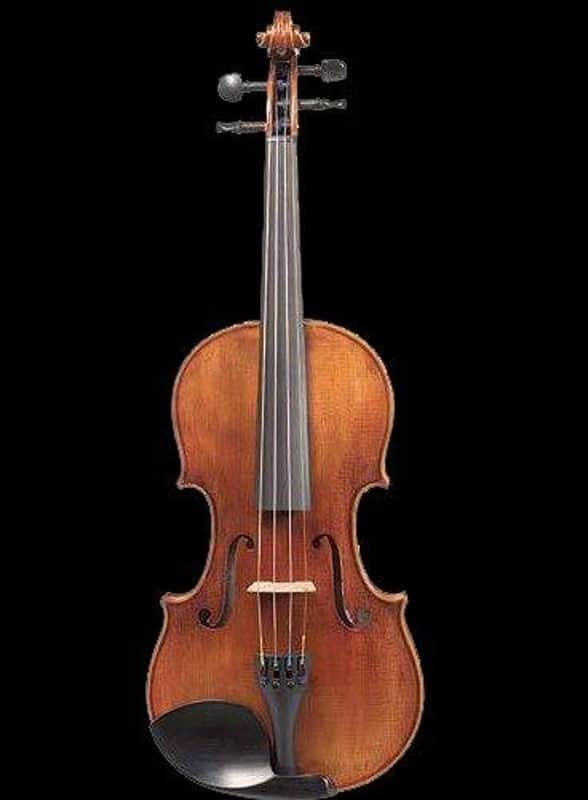 D Z Strad Viola Professional Model 1000