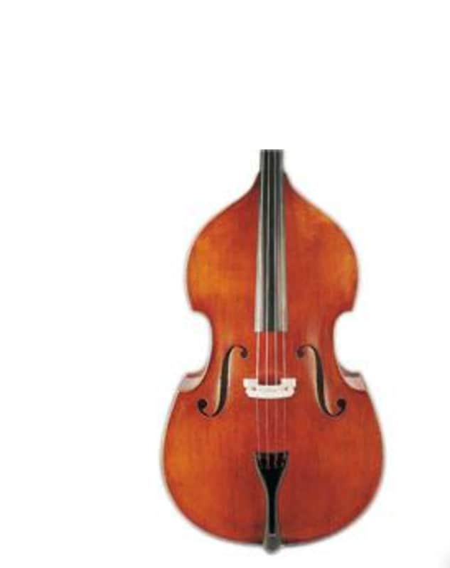D Z Strad Double Bass Model 300 (1/2)