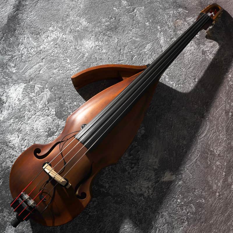 Roberto Franceschini Compact Body Upright Bass